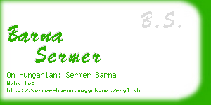 barna sermer business card